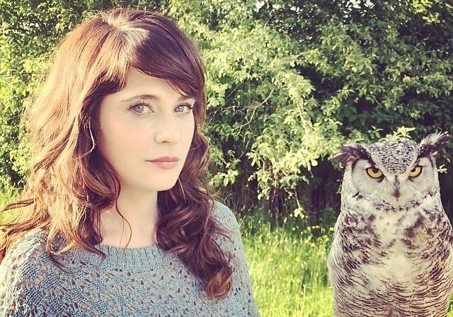 Zooey Deschanel Hamil Anak Kedua
