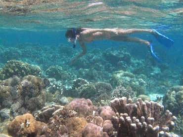 Safety Tips Before Snorkeling