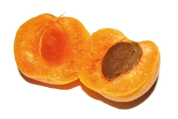 Top 7 Pregnancy Power Foods