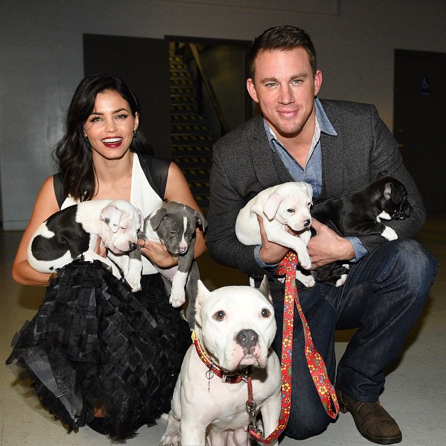 Channing Tatum Memamerkan Foto Seksi Sang Istri