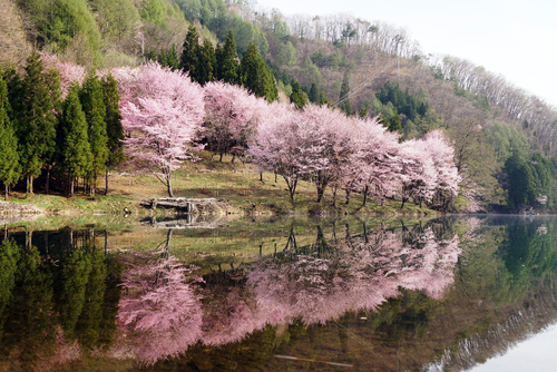 3 Danau Indah di Nishina, Omachi, Jepang