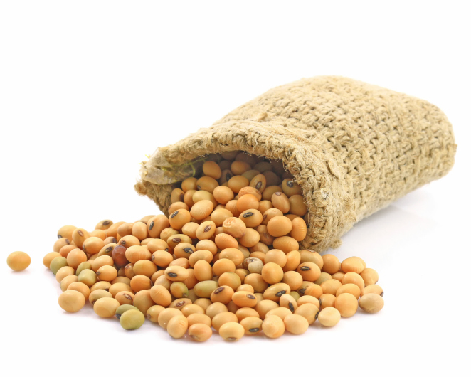 The Joy of Soy