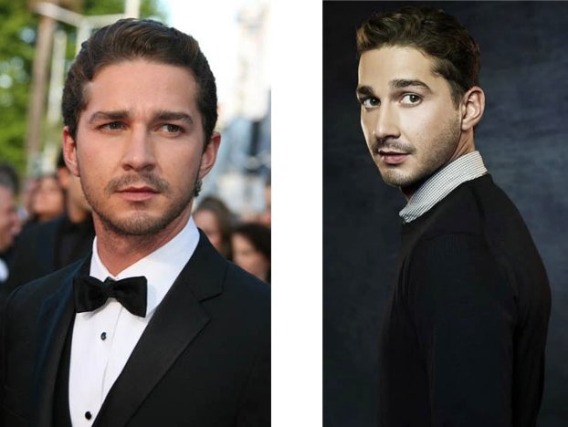 Hot Bearded Celebrity