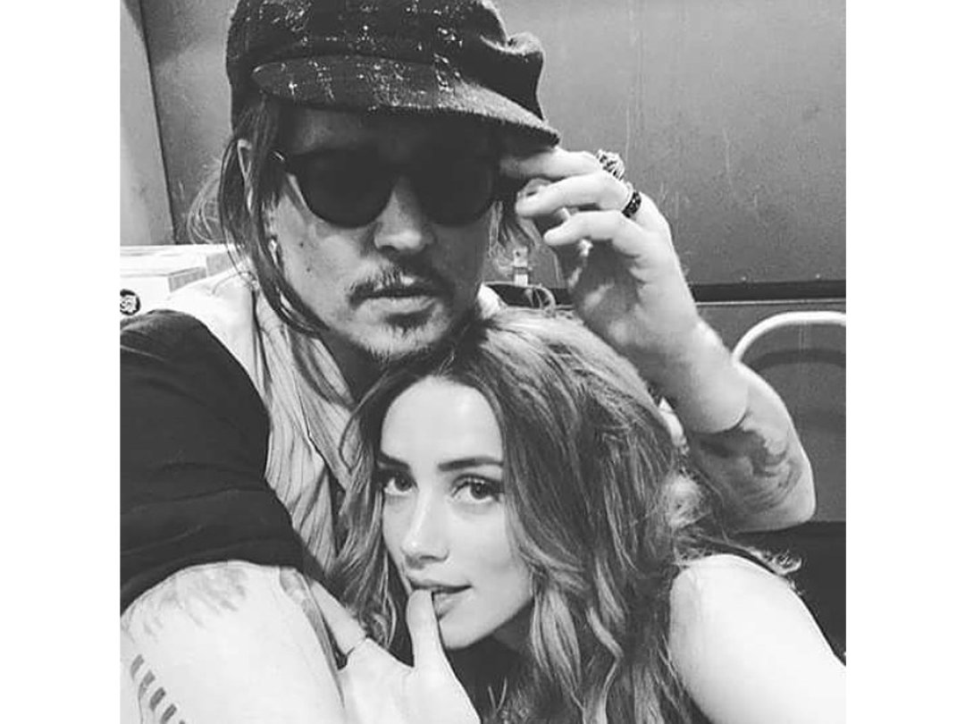 Amber Heard Menyeludupkan Anjing ke Australia