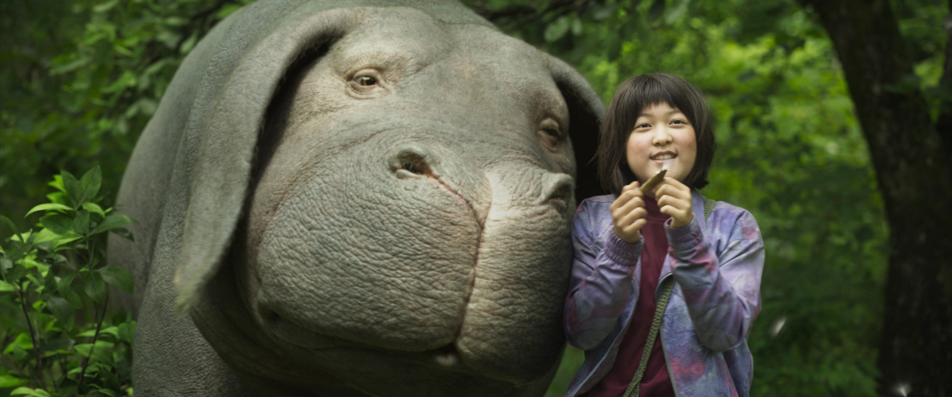 6 Film Terbaik Tahun 2017 yang Belum Anda Tonton