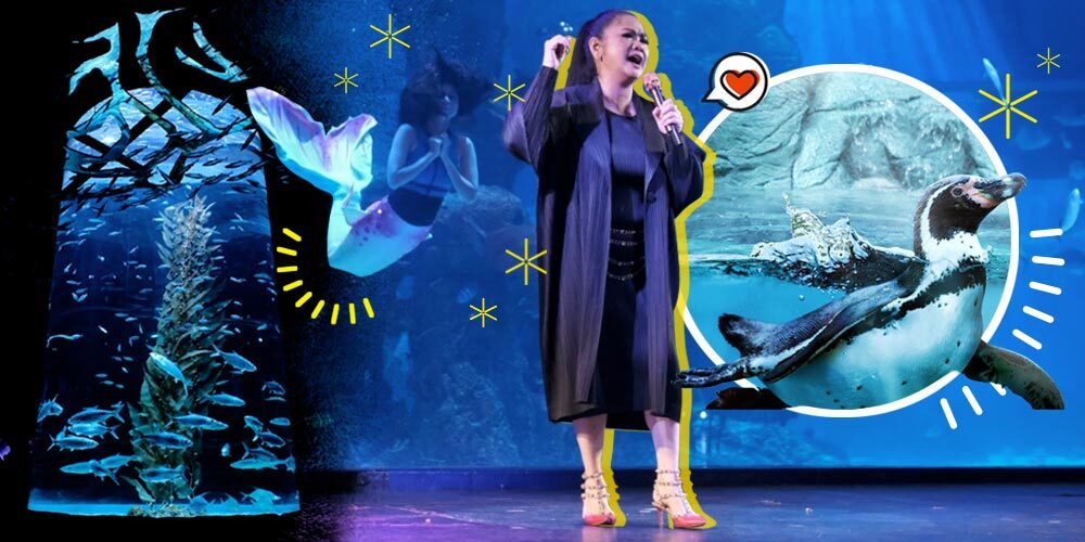 Vina Panduwinata Hadir di Reopening Jakarta Aquarium