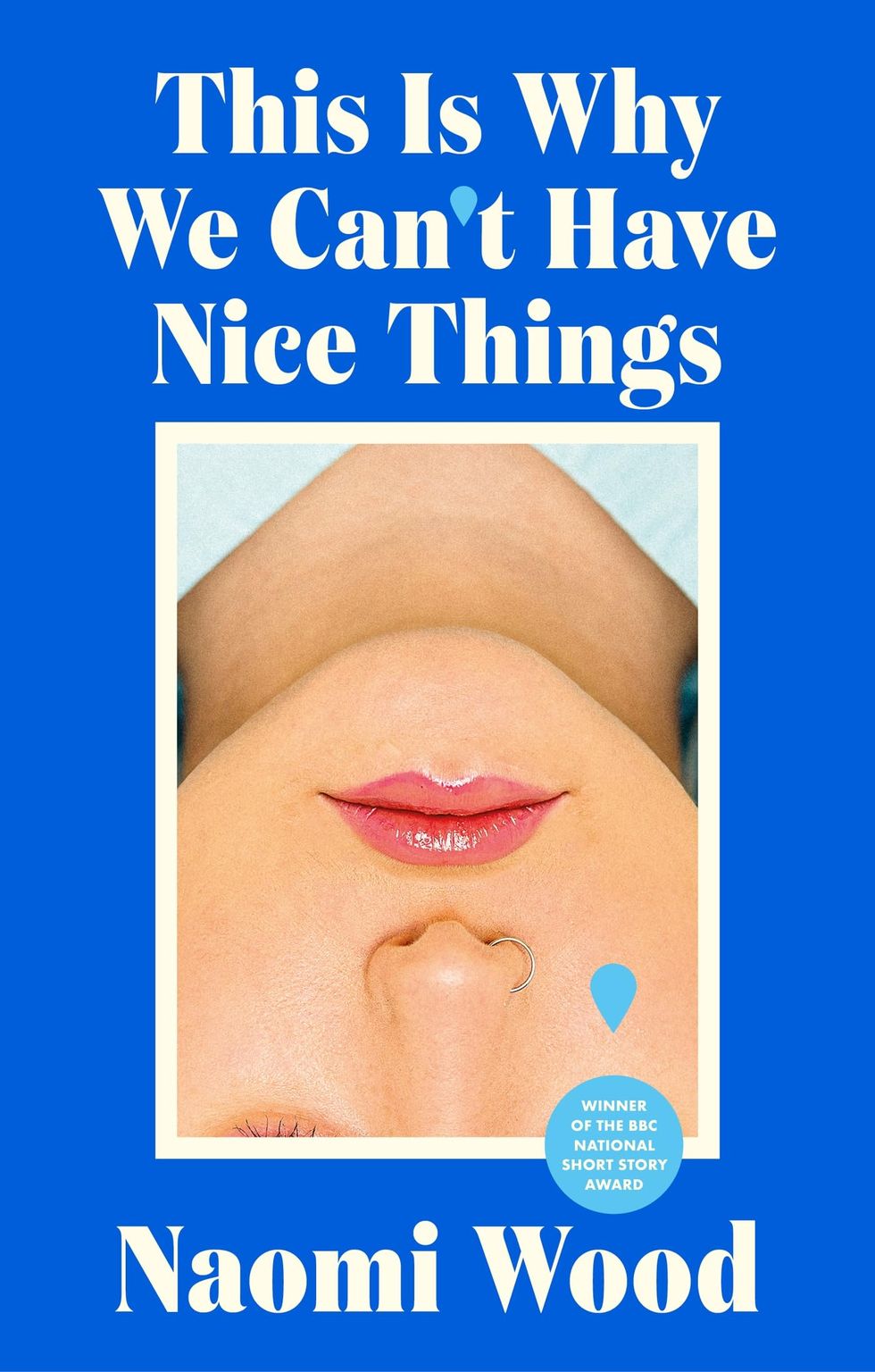 This Is Why We Can't Have Nice Things (Naomi Wood)