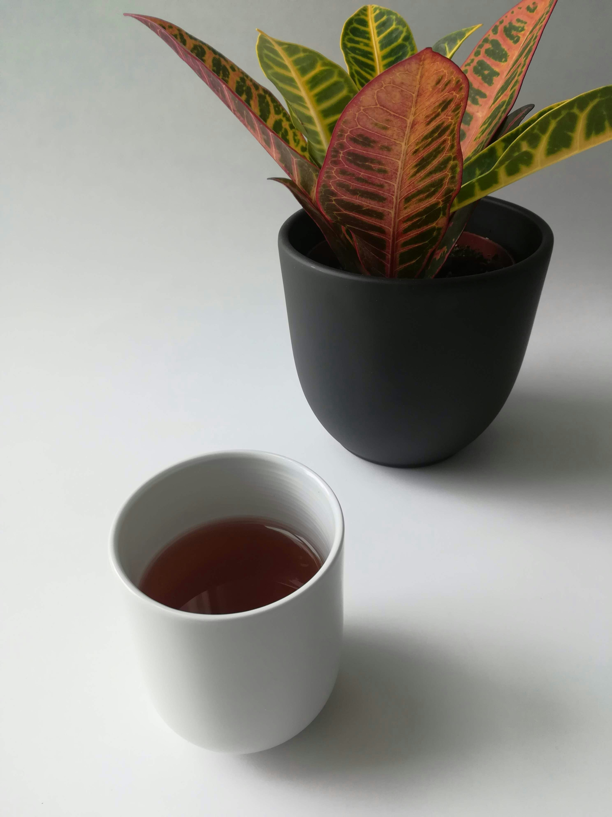 Hojicha