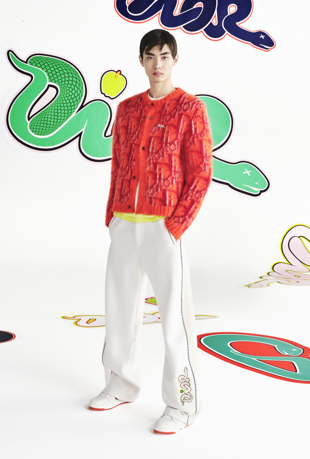 Dior Kaws