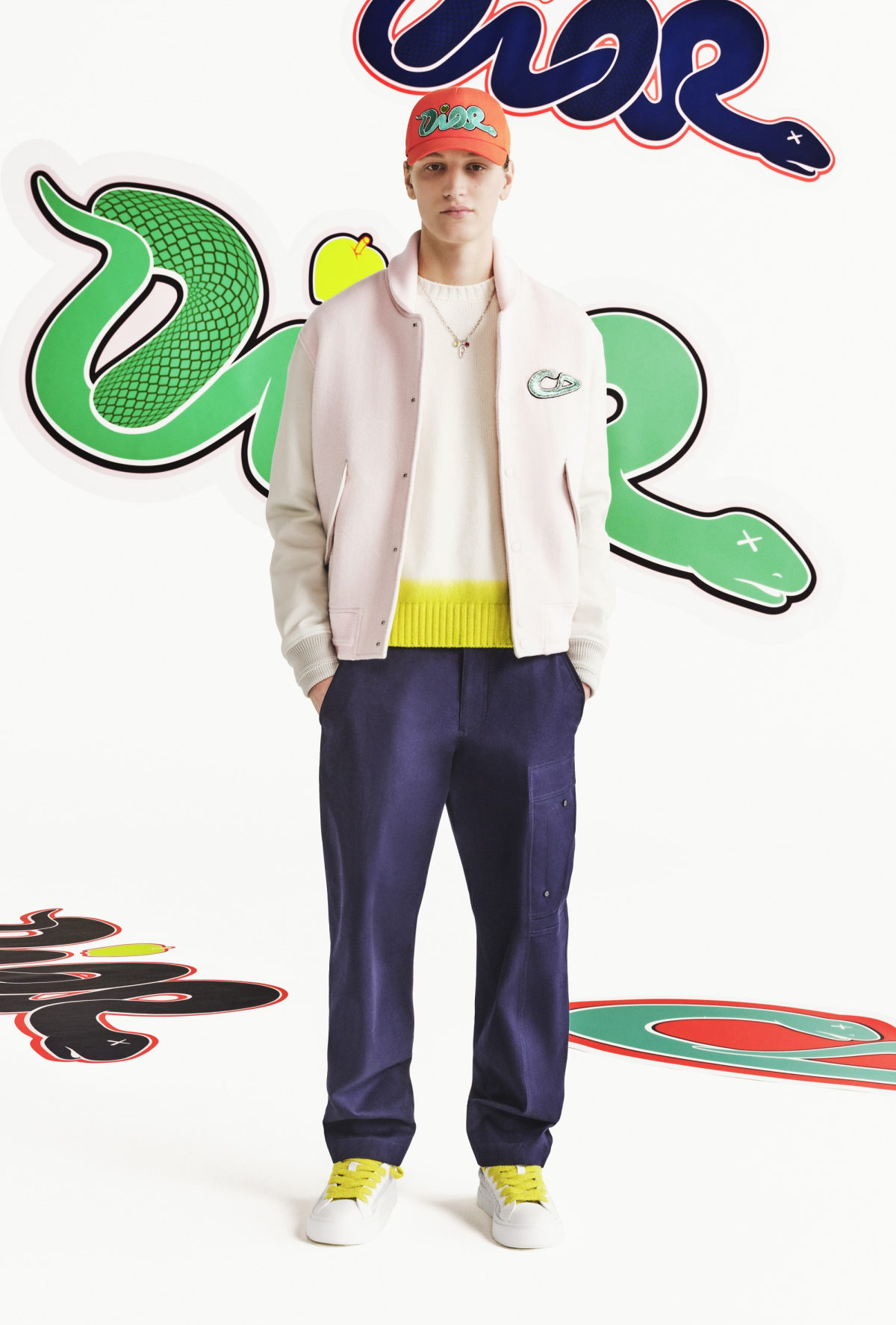 Dior Kaws