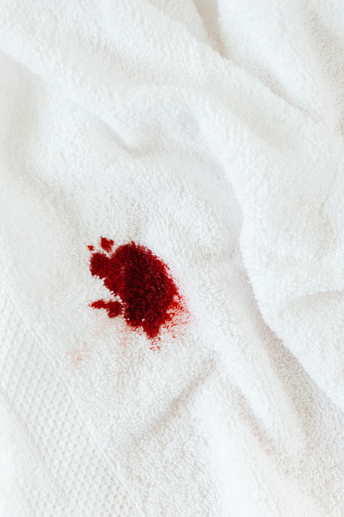 Cara menghilangkan lipstik di baju