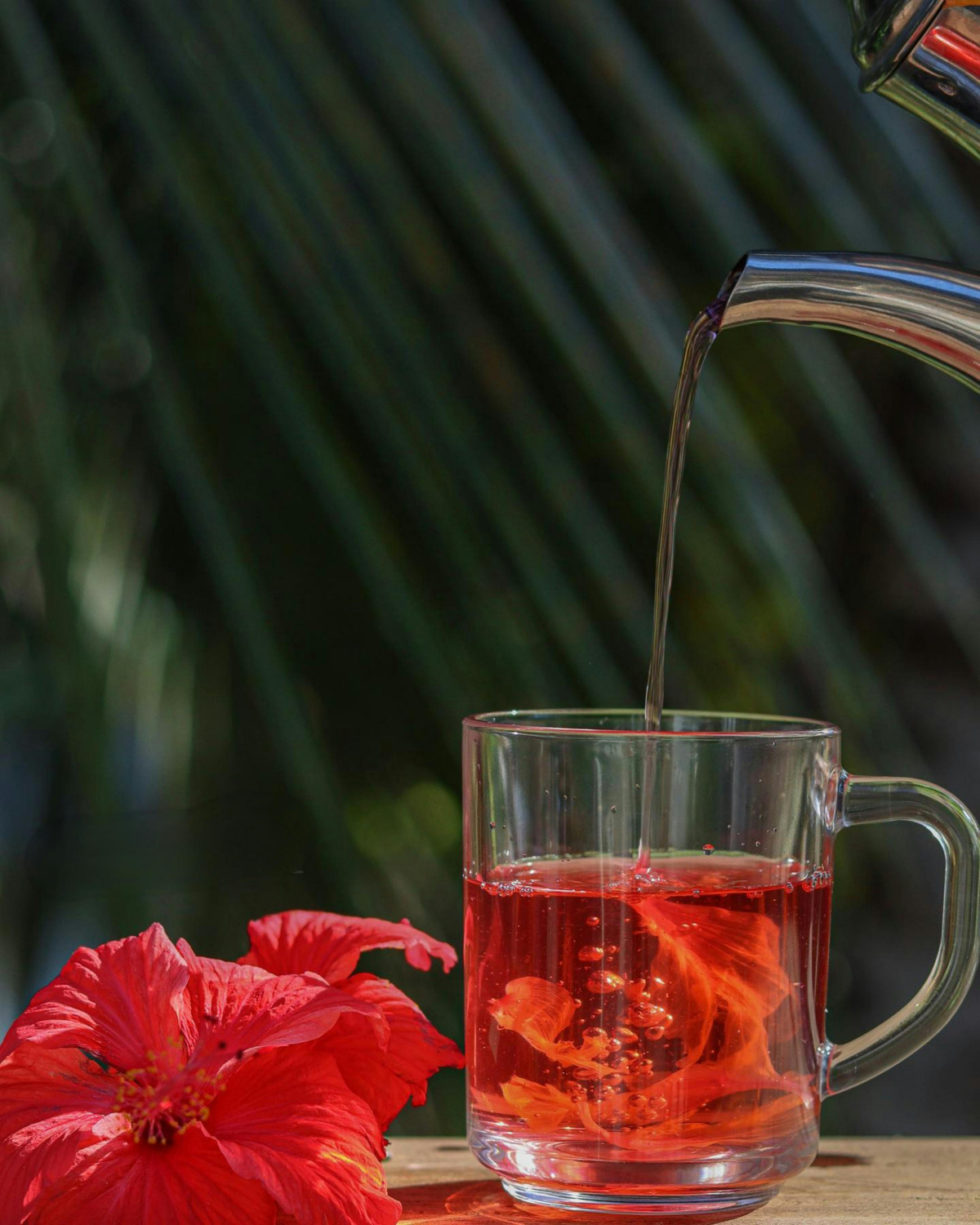 Teh hibiscus