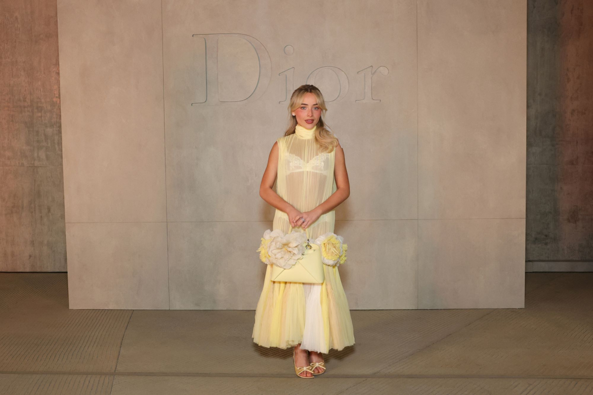 Dior Cruise 2027