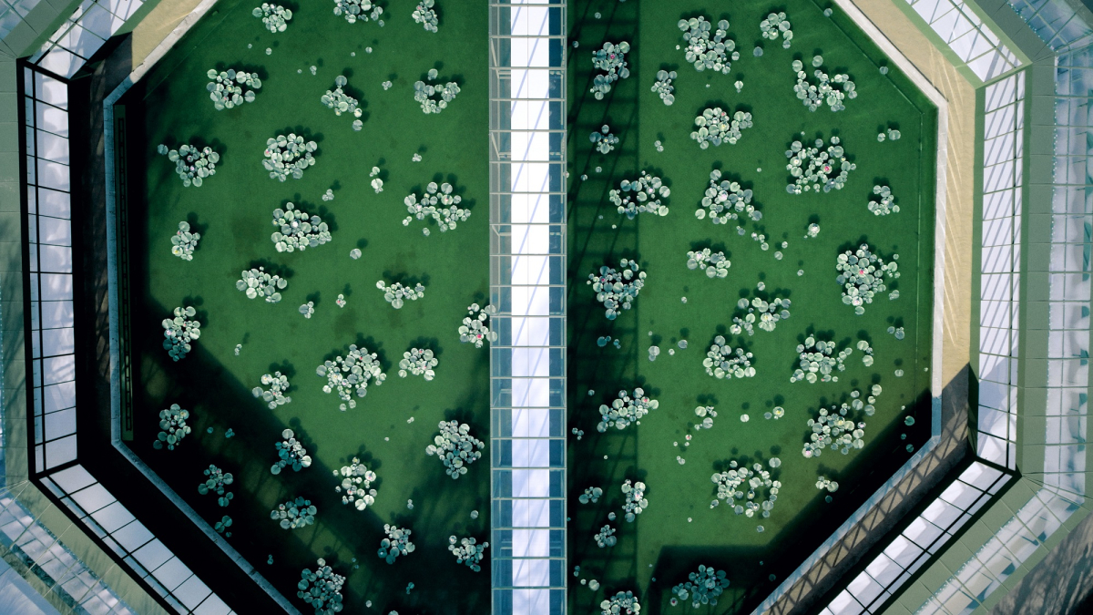 Dior Fall/Winter 2026