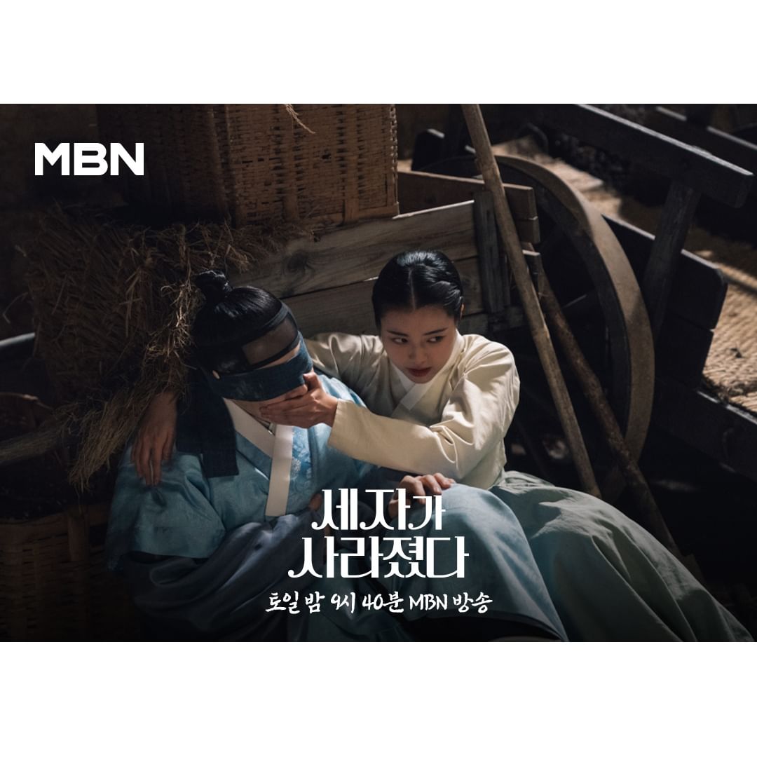 Missing Crown Prince (2024)