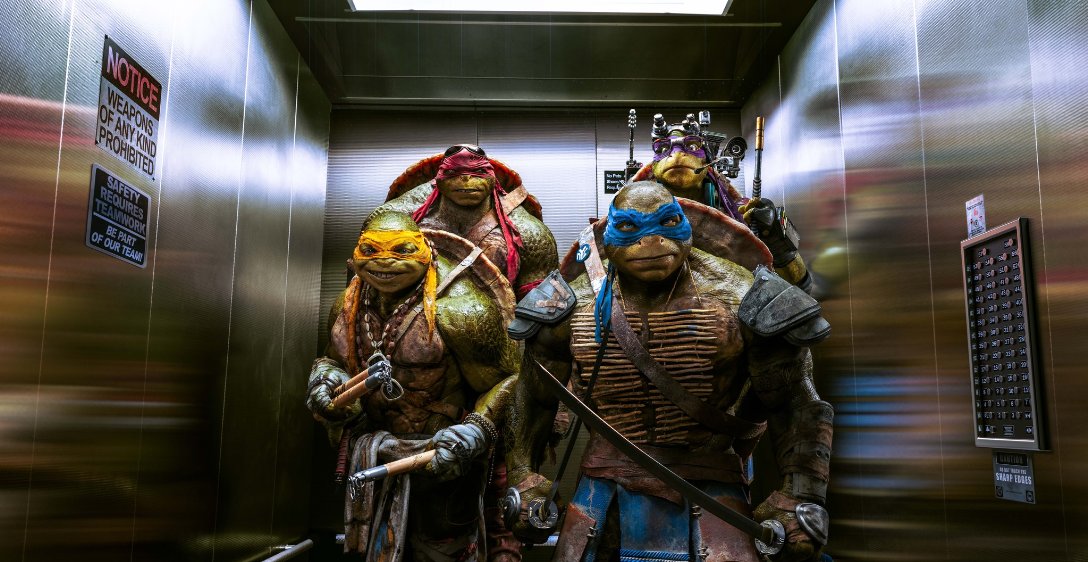 Teenage Mutant Ninja Turtle Is Back