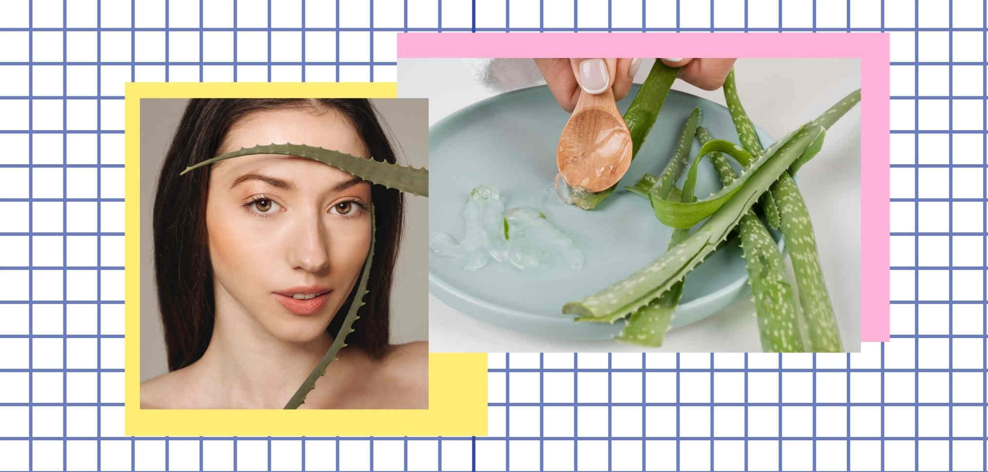 Patut Dicoba! Ini 5 Cara Mengoleskan Aloe Vera 