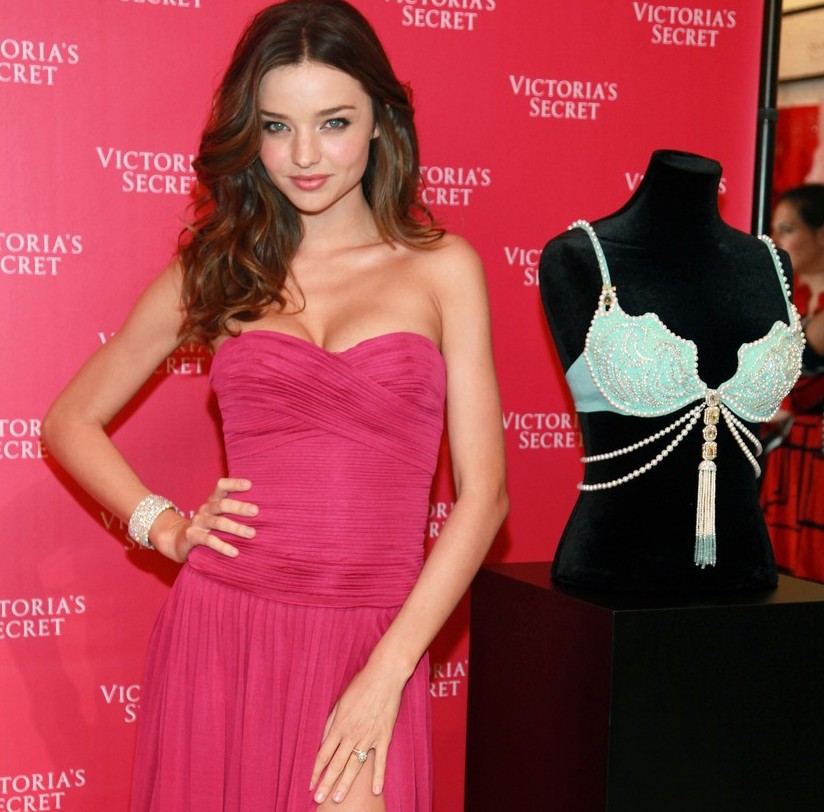 Sexy Pricey Bra