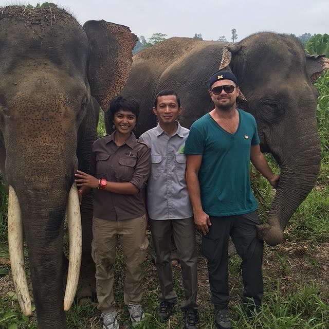 Kunjungan Leonardo DiCaprio ke Taman Nasional Gunung Leuser