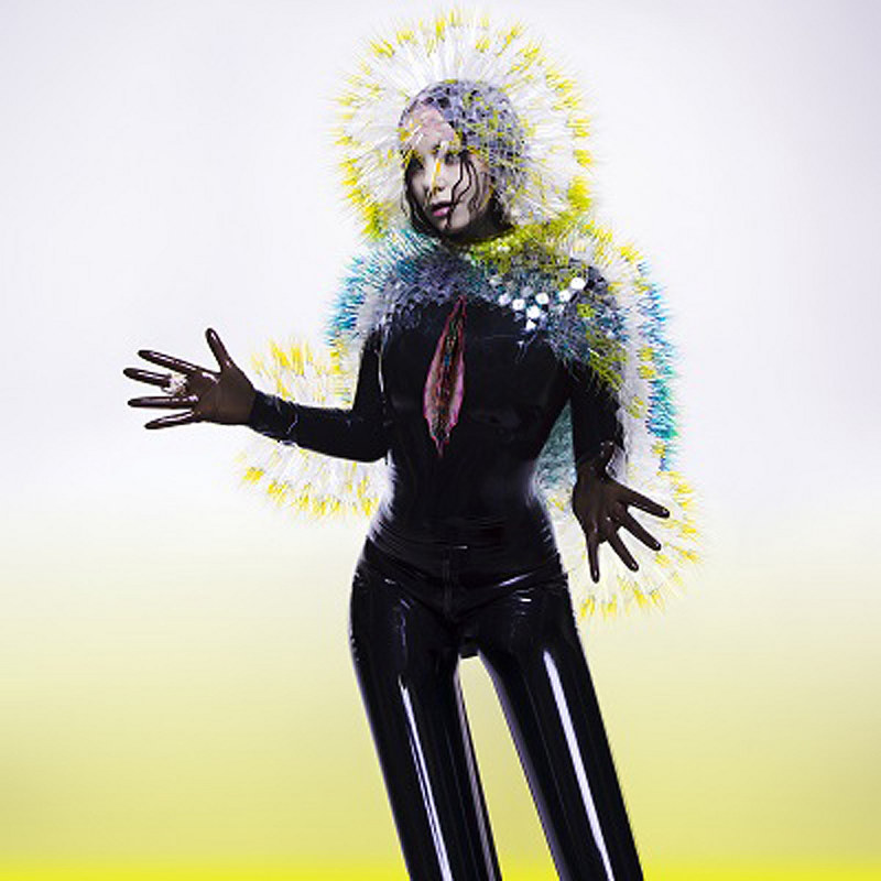 Björk- Vulnicura