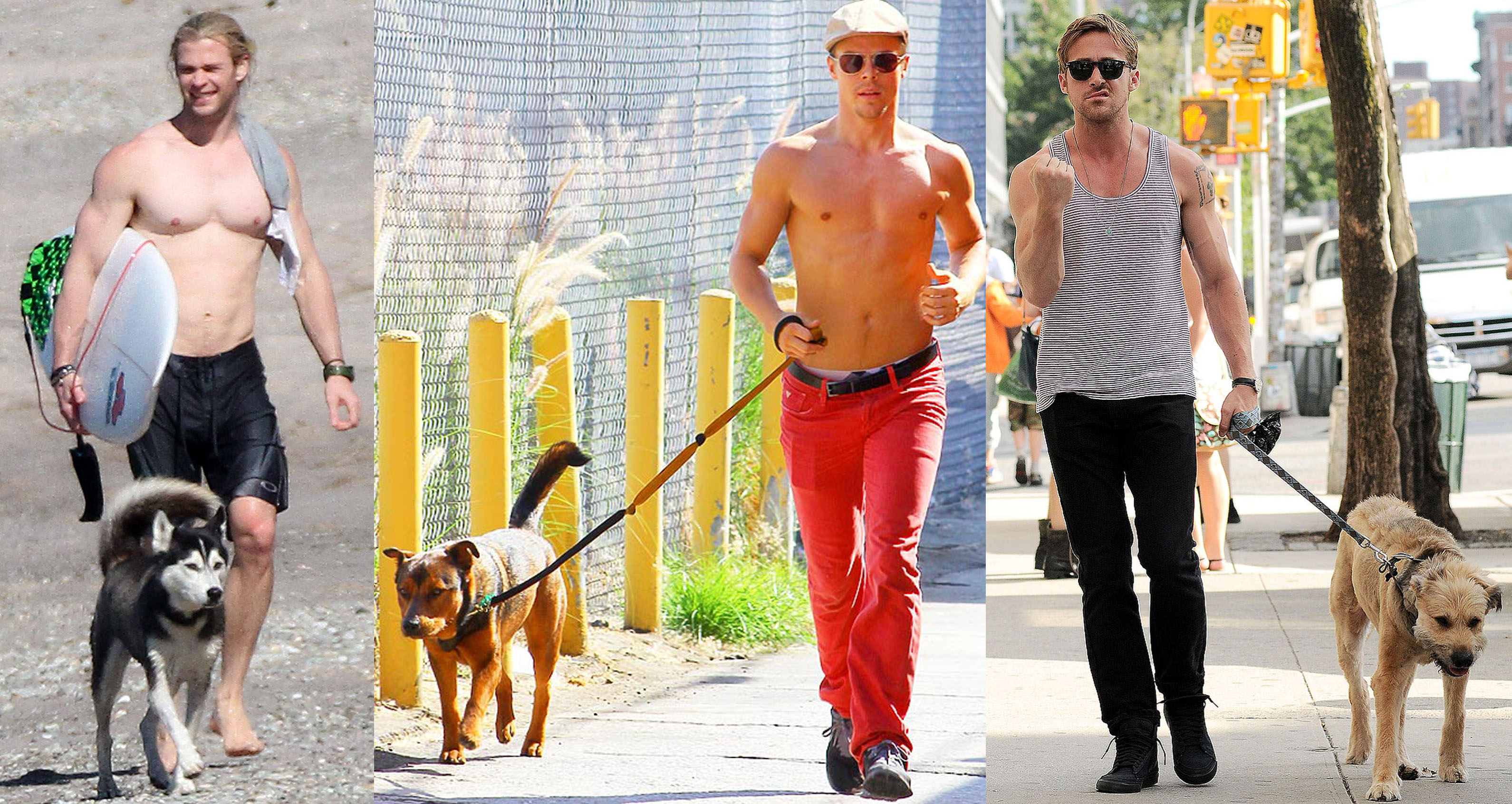 Guys and The Dogs