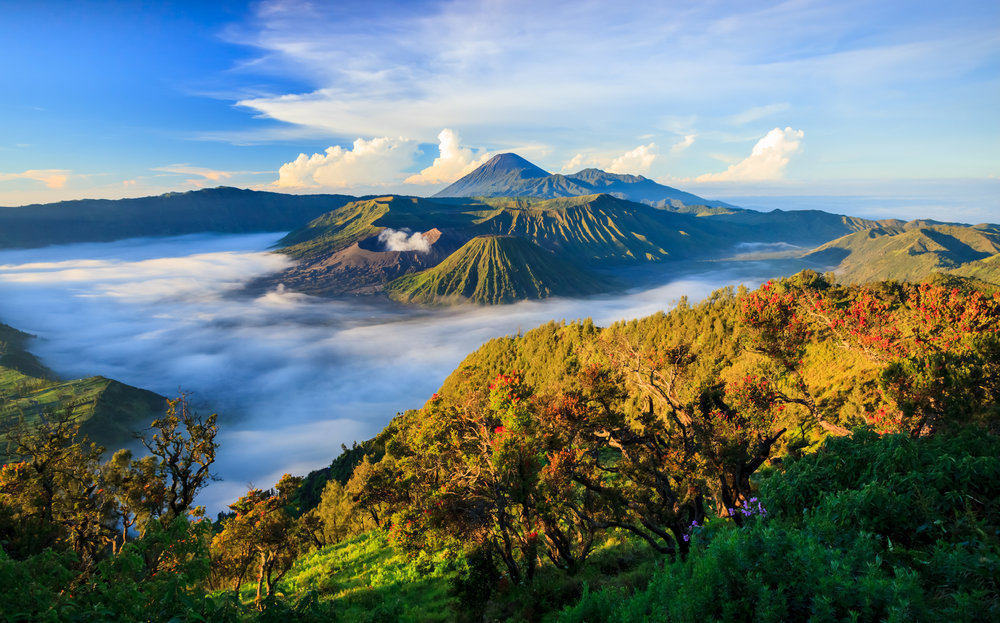 Yuk, Cinta Lingkungan Hidup Indonesia!