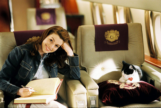 Cegah Stres Saat Long-Flights