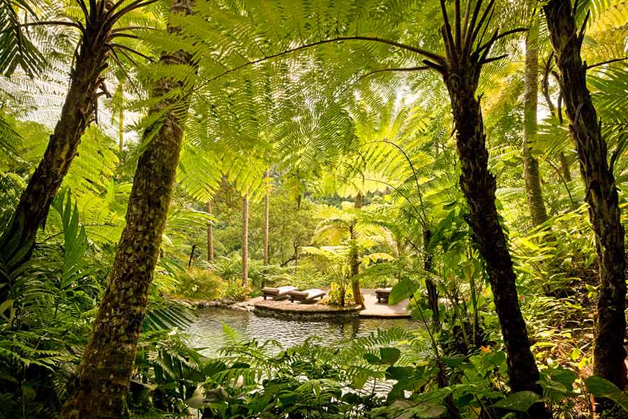 Kedara Water Garden