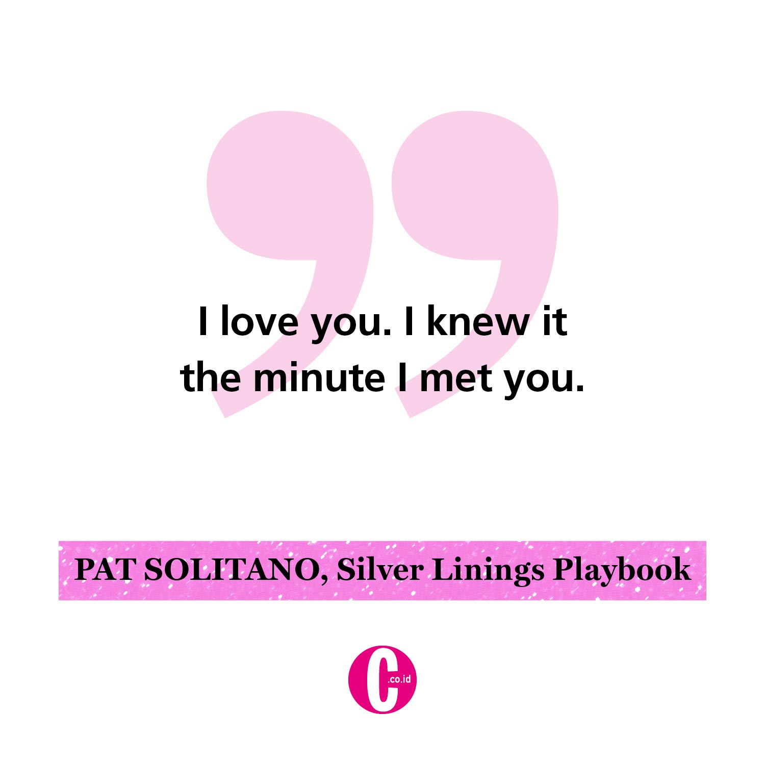 Kata-kata romantis dari  Pat Solatano, Silver Linings Playbook