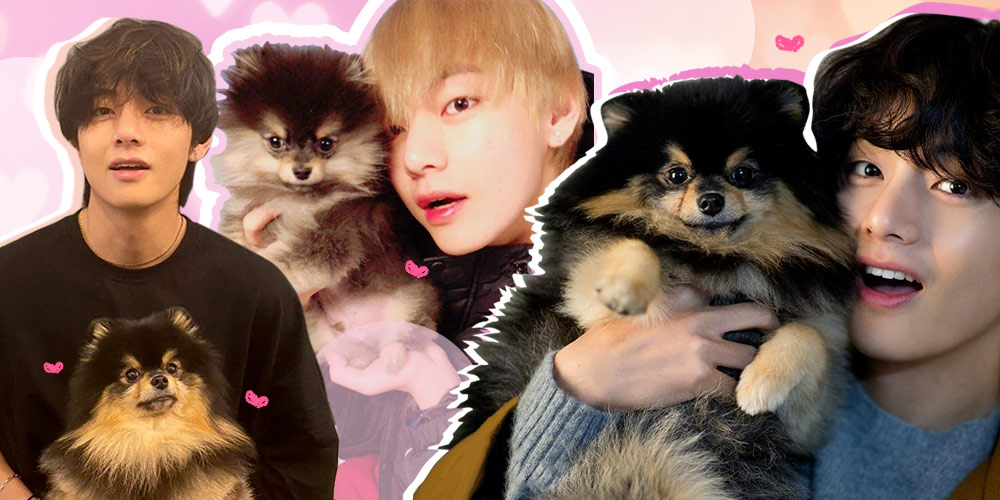 7 Potret Adorable Kim Taehyung atau V BTS dengan Anjingnya!