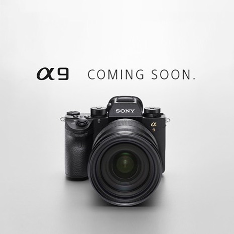 Sony Alpha 9