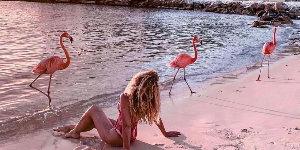 Ternyata, Ada Pantai Flamingo yang Bisa Kamu Kunjungi!