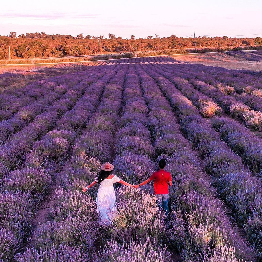 Suguhkan Pesona Alam Cantik, Australia Barat yang Siap Menyambut Kedatangan Wisatawan