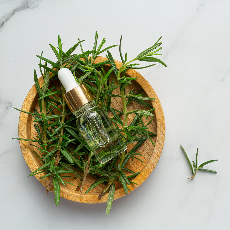 ⁠Manfaat Rosemary Oil untuk Rambut