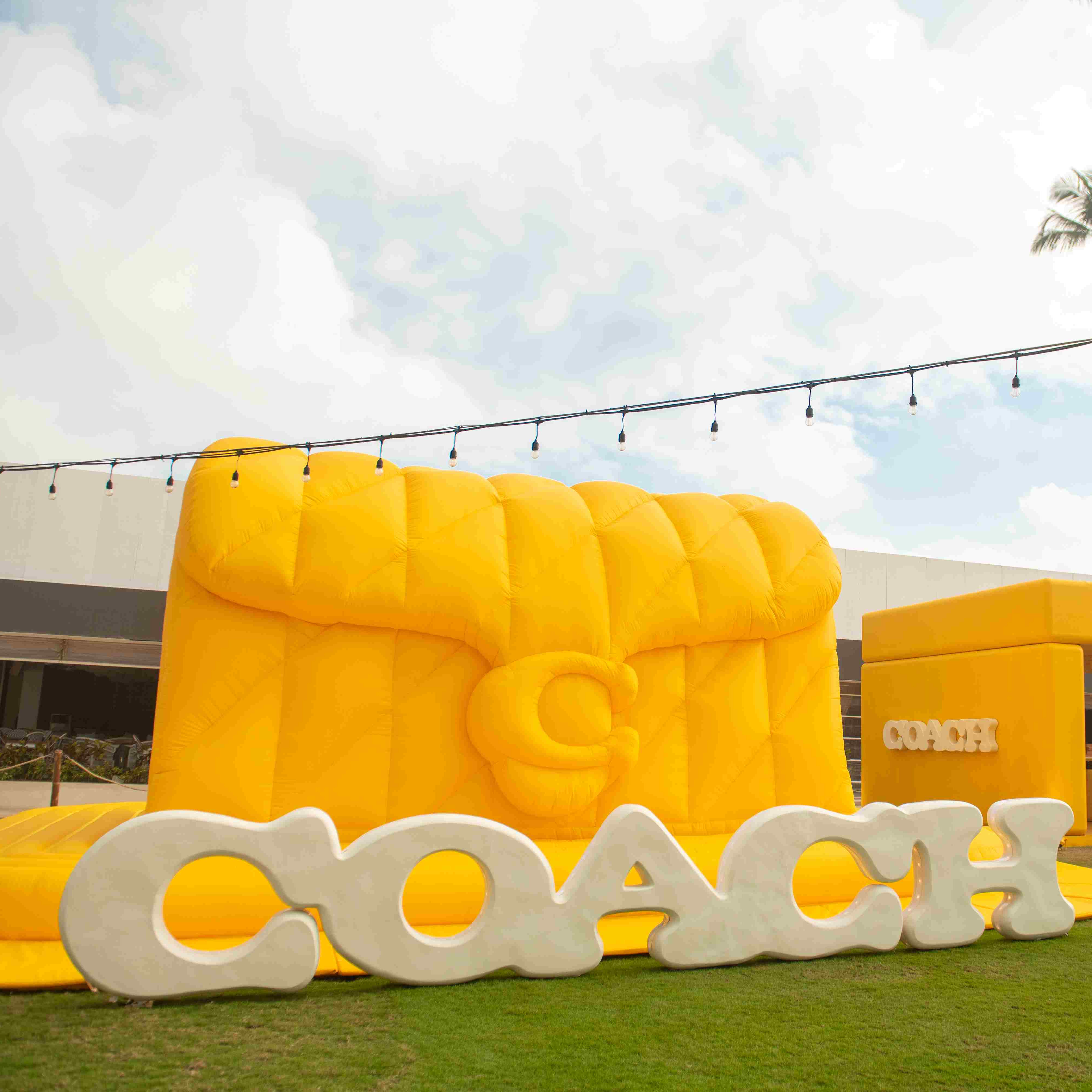 Seru dan Gemasnya The Coach Tabby Shop di Bali