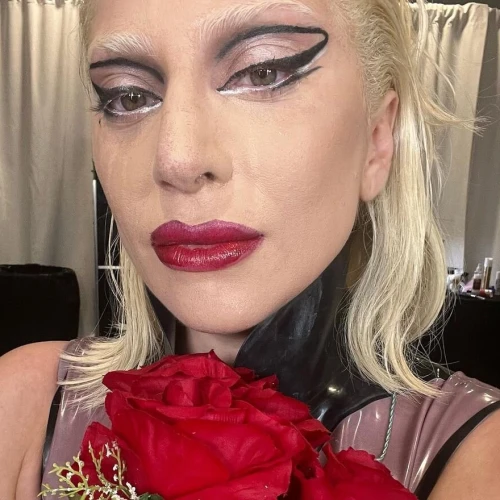 Lady Gaga Tak Kuasa Bendung Air Mata Usai Konsernya Dihentikan