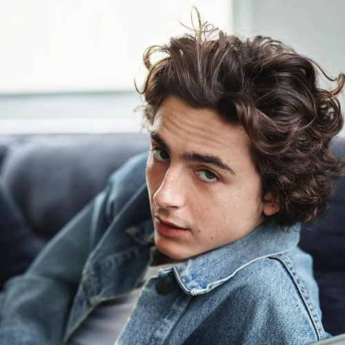 6 Film Seru Timothée Chalamet Selain Dune dan Wonka!