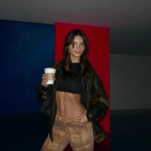 Intip Penampilan Emily Ratajkowski Mengenakan Bikini Di Jalanan NYC 