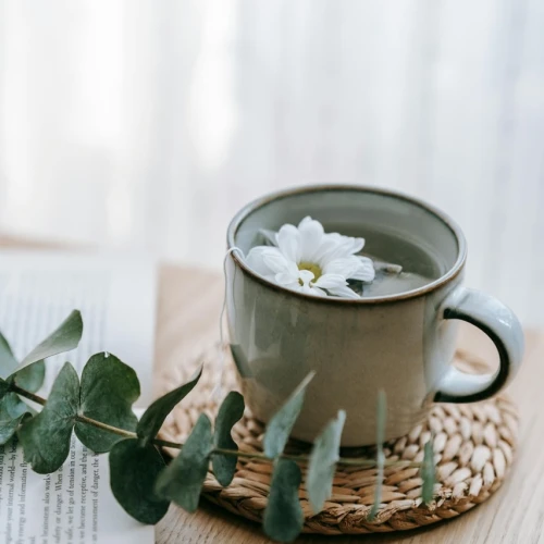Menarik! Ini Manfaat yang Dapat Kamu Peroleh Ketika Mengkonsumsi White Tea