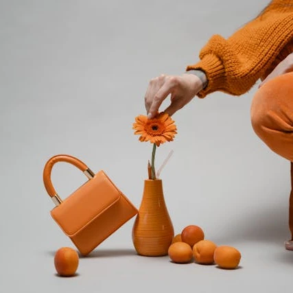 Warna Apricot Seperti Apa? Yuk Cari Tahu!