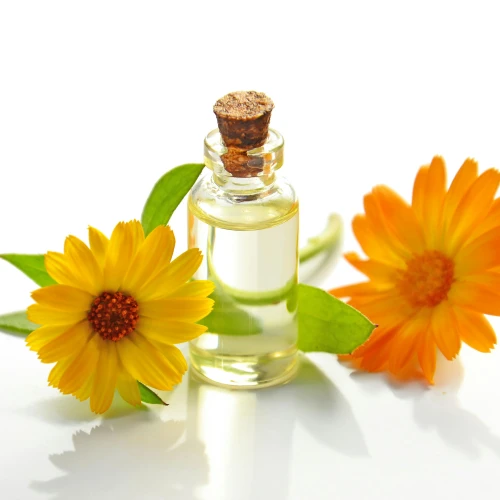 Manfaat Ekstrak Calendula dalam Skincare