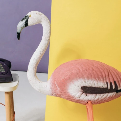 Mengenal ‘Flamingo Era’, Apakah Kamu Sedang Mengalaminya?