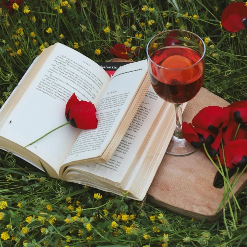 Suka ‘The Poppy War'? Ini 5 Rekomendasi Novel Lain dari R. F. Kuang!