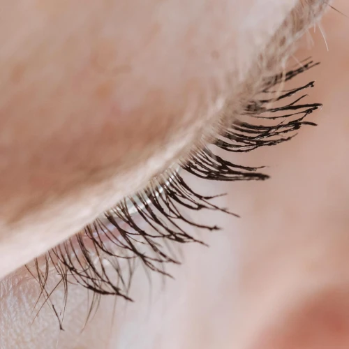 Cara Menebalkan Bulu Mata