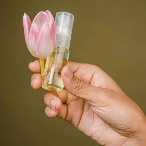 Rekomendasi Body Oil untuk Melembapkan Tubuh