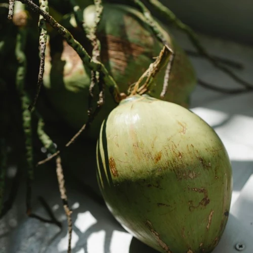 8 Manfaat Kelapa Hijau Bagi Tubuh, Bisa Cegah Penyakit