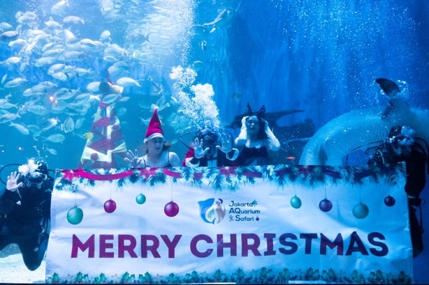 5 Alasan Jakarta Aquarium & Safari Patut Dikunjungi Saat Liburan!